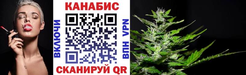 Конопля сатива  как найти закладки  Карабаш 